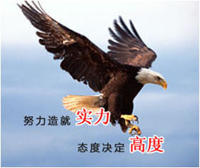英博体育app