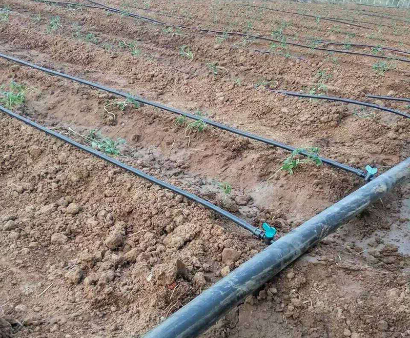 滴灌、微喷灌每亩地多少钱 滴灌、微喷灌每亩地多少钱